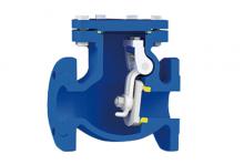Cryogenic Check Valve